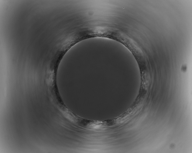 X0000101980563200808151404