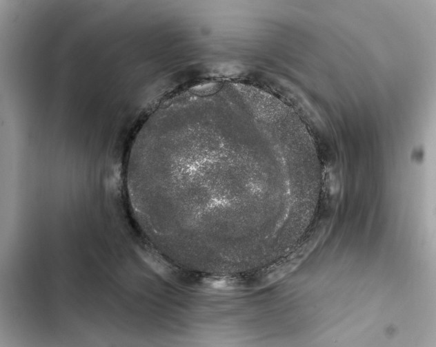 X0000101980564200808151404