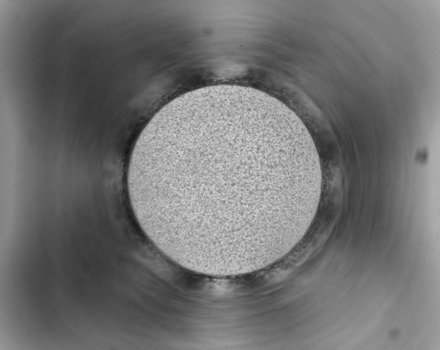 X0000101980565200808151404