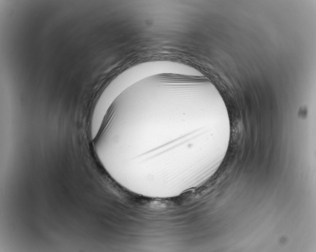 X0000101980566200808151404