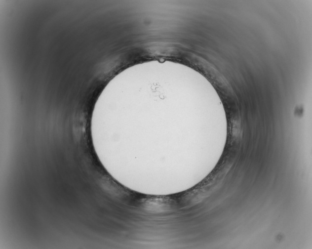 X0000101980567200808151404