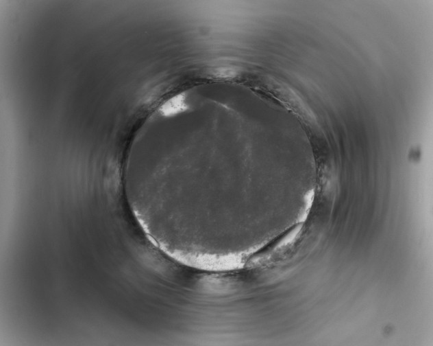 X0000101980568200808151404