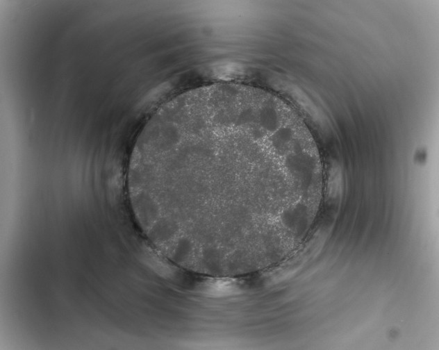 X0000101980569200808151404