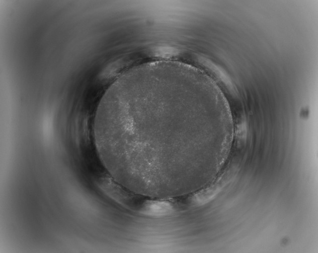 X0000101980572200808151404