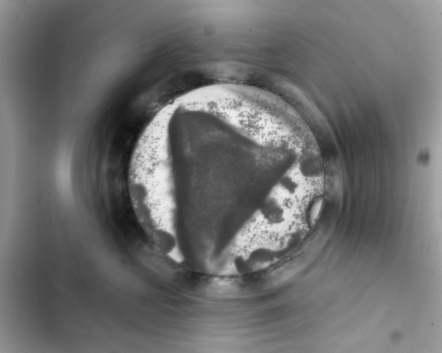 X0000101980573200808151404