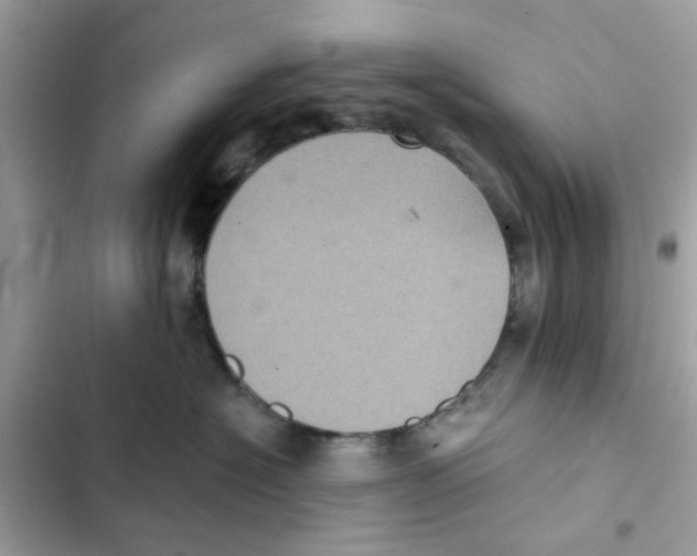 X0000101980574200808151404