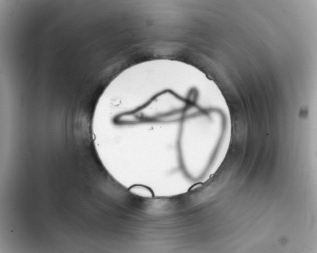 X0000101980575200808151404