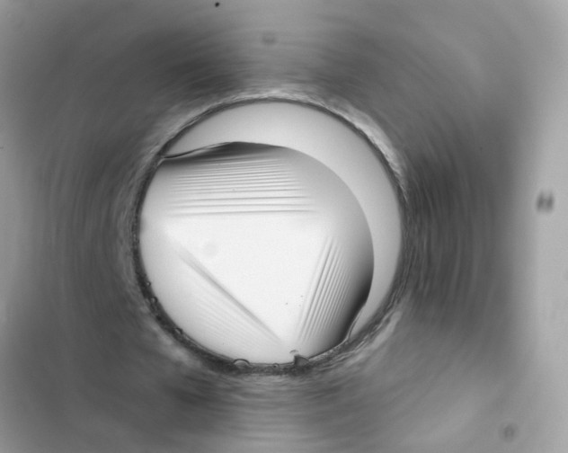 X0000101980577200808151403