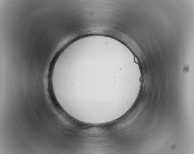 X0000101980578200808151403