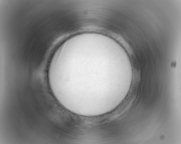 X0000101980579200808151403