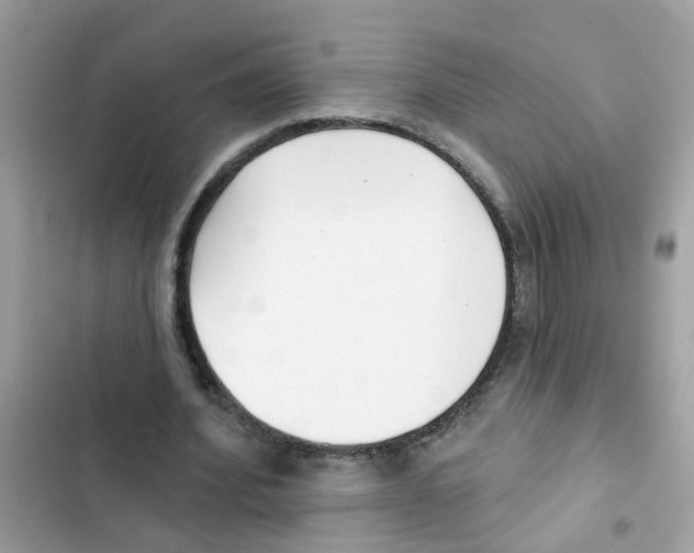 X0000101980580200808151403