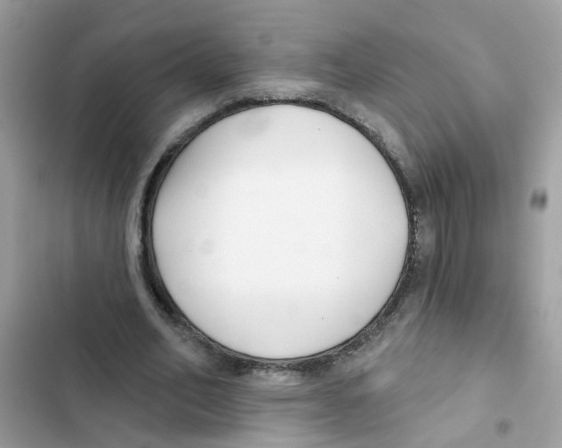 X0000101980582200808151403