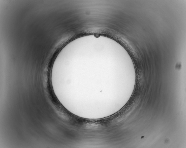 X0000101980586200808151403