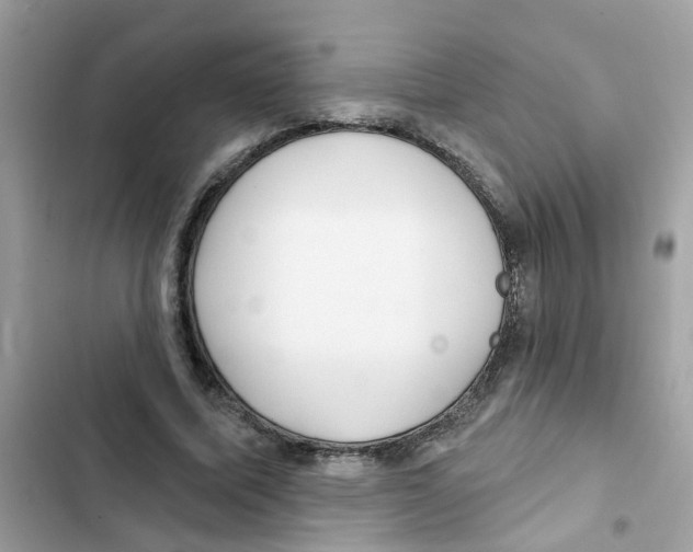 X0000101980587200808151403