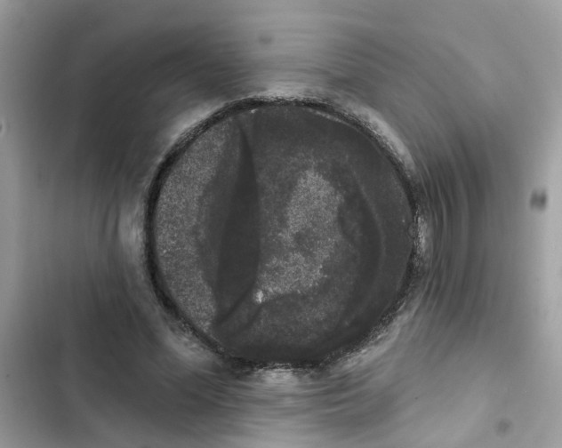 X0000101980588200808151403