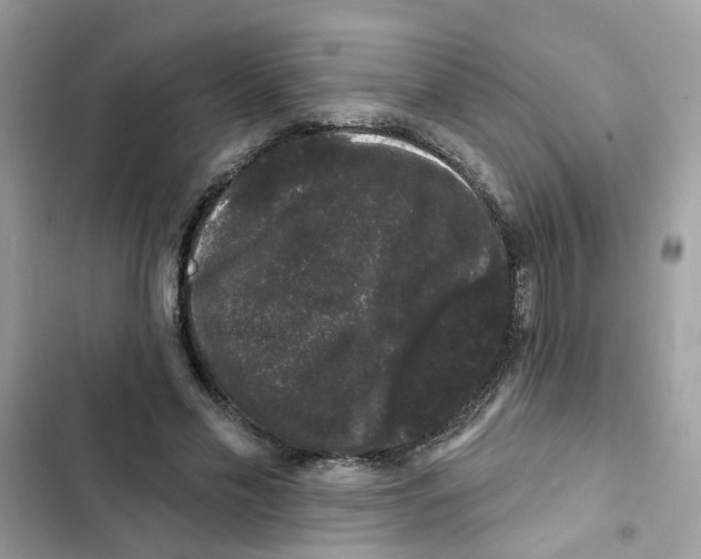 X0000101980589200808151403