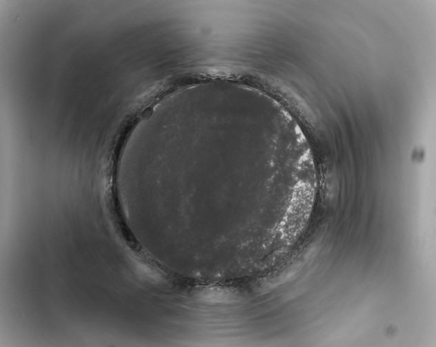 X0000101980593200808151403