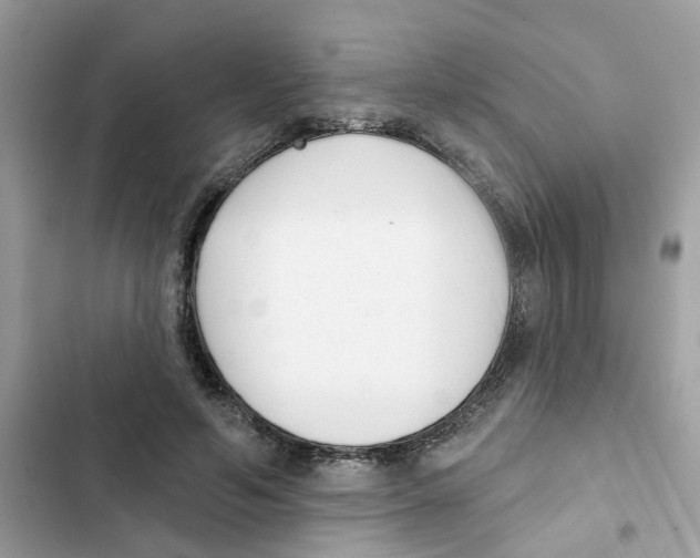 X0000101980594200808151403