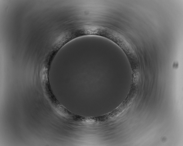 X0000101980598200808151403