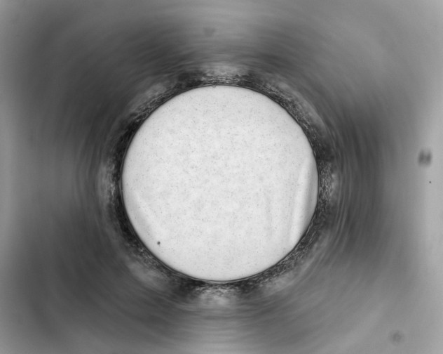 X0000101980599200808151403