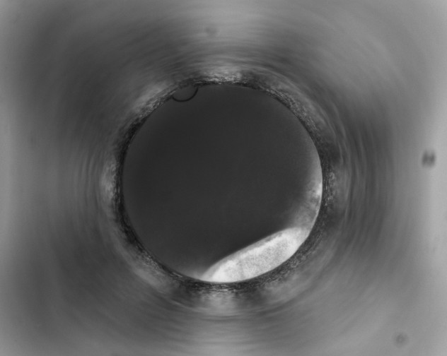 X0000101980600200808151403