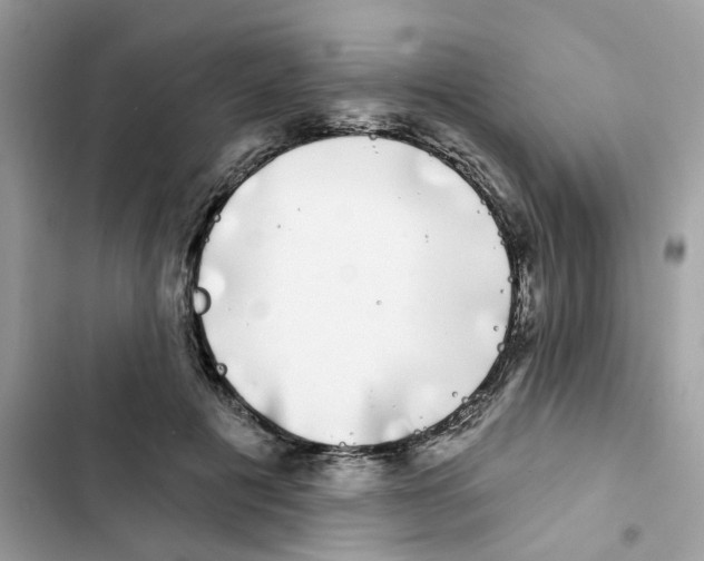 X0000101980601200808151403