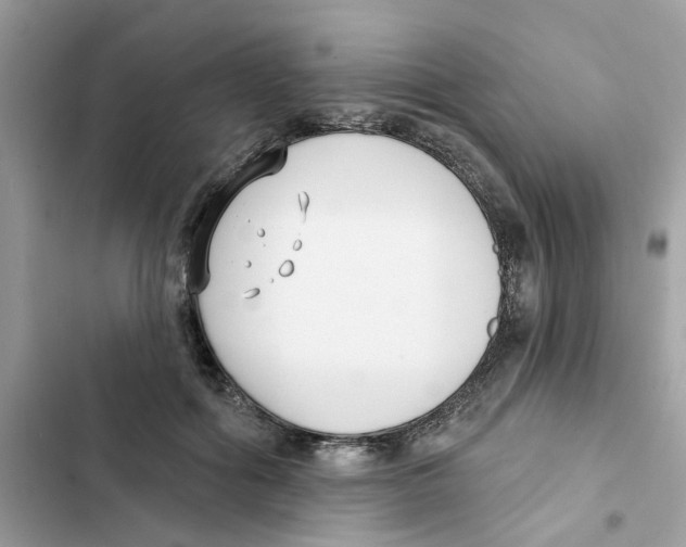 X0000101980602200808151403