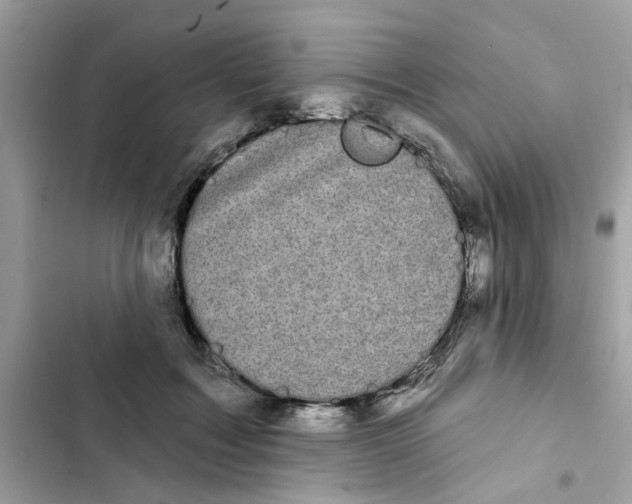 X0000101980603200808151403