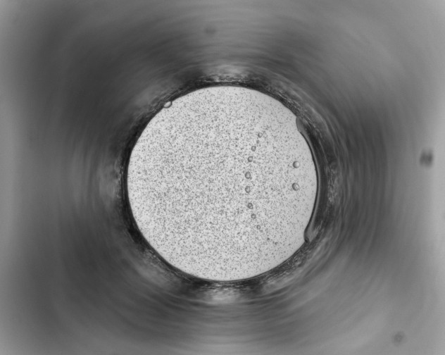 X0000101980604200808151403