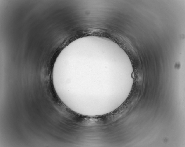 X0000101980607200808151403