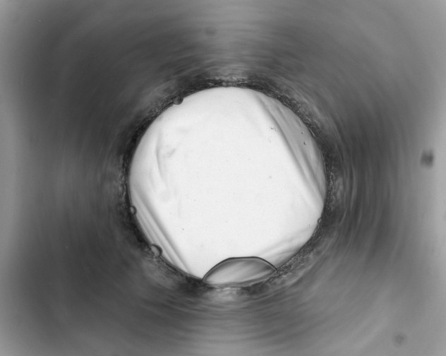 X0000101980609200808151403