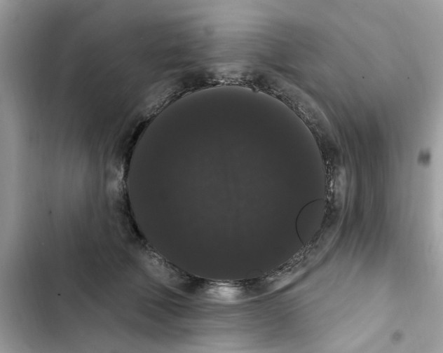 X0000101980610200808151403