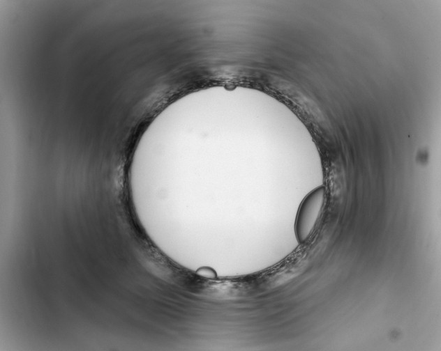 X0000101980611200808151403