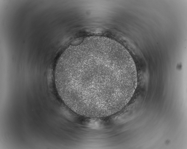 X0000101980612200808151403