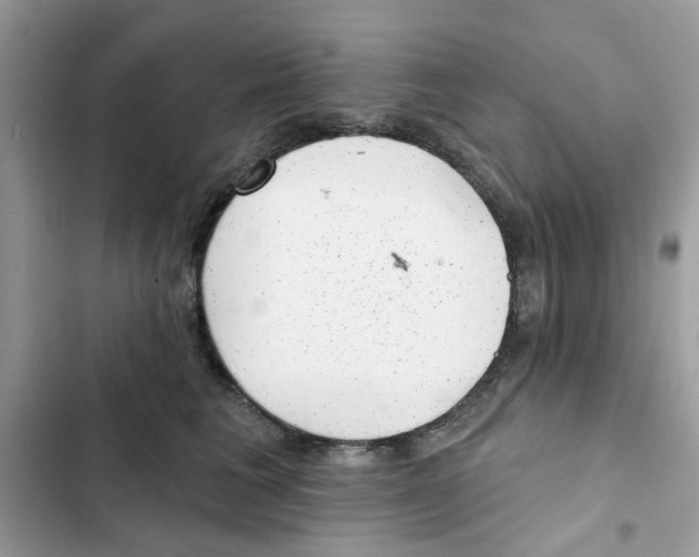 X0000101980613200808151403