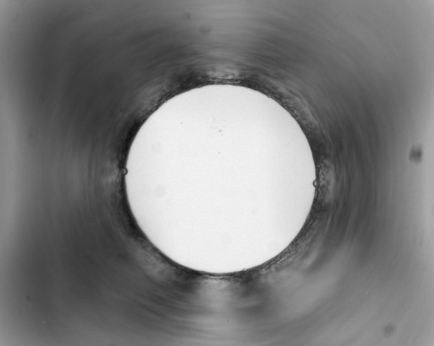 X0000101980614200808151403