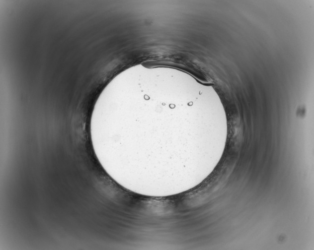 X0000101980615200808151403