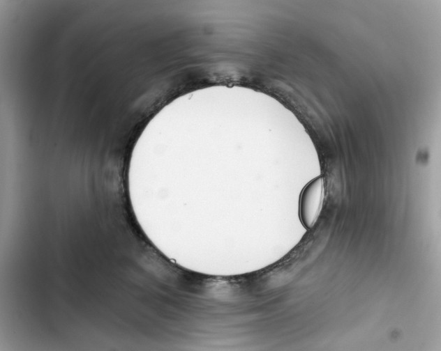 X0000101980616200808151403