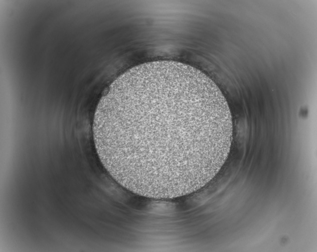 X0000101980617200808151403