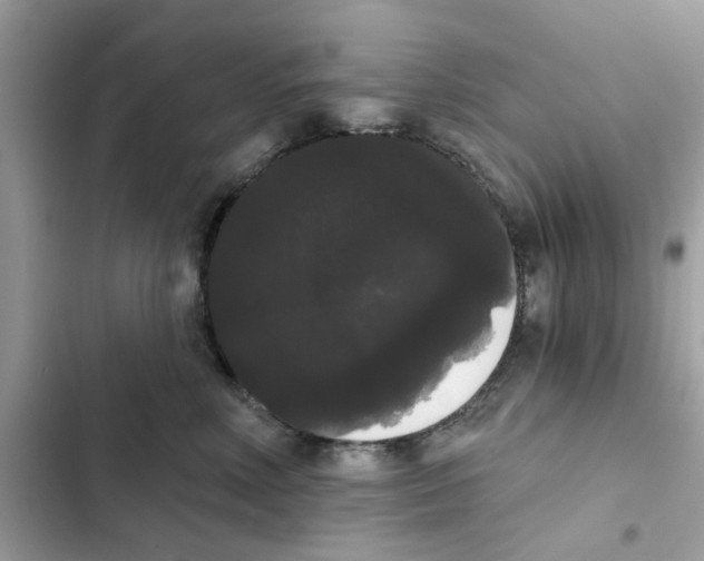 X0000101980618200808151403