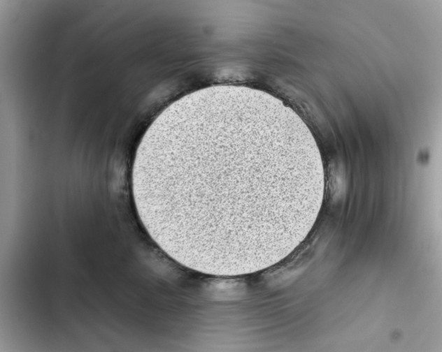 X0000101980619200808151403