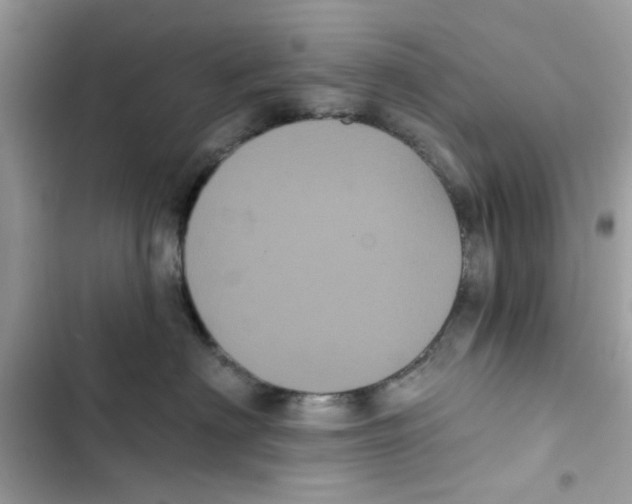 X0000101980622200808151403