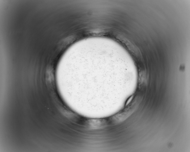 X0000101980623200808151403