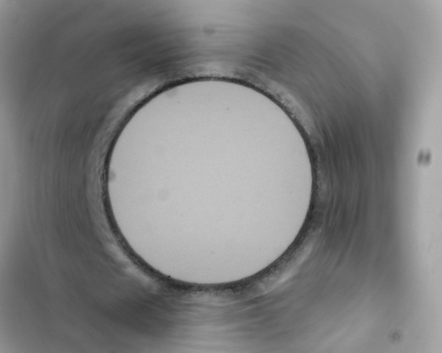 X0000101980625200808151402