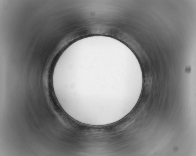 X0000101980626200808151402