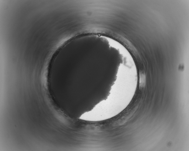 X0000101980627200808151402