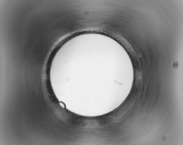 X0000101980628200808151402