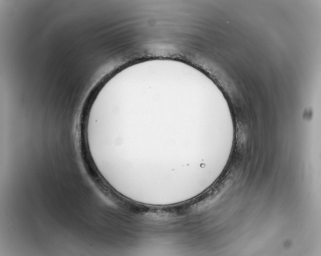 X0000101980630200808151402