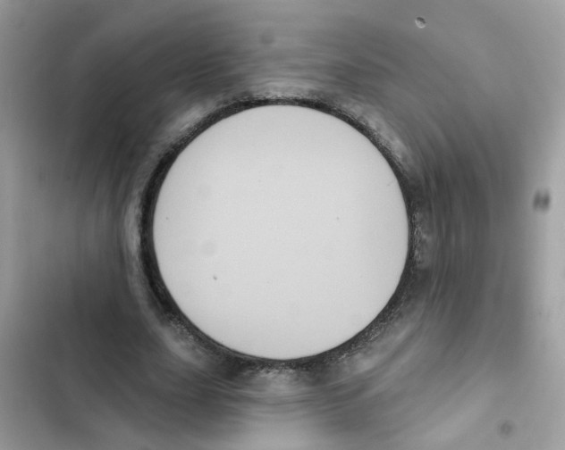 X0000101980631200808151402