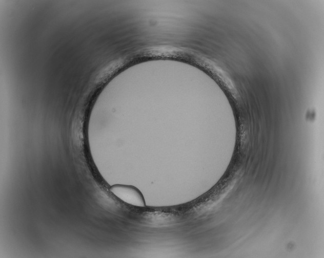 X0000101980633200808151402